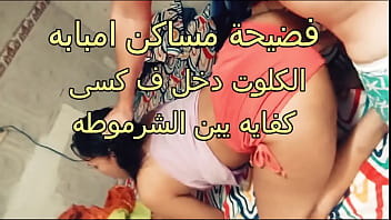 Seks Arab Panas, Skandal Amal Si Jalang Di Pemukiman Embaba, Celana Dalam Masuk Ke Memekku Dasar Pelacur!